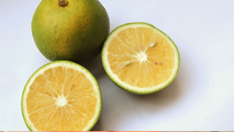 Sweet lime (Mosambi) may help support liver cell regeneration