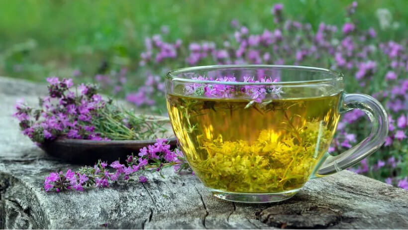Thyme Tea